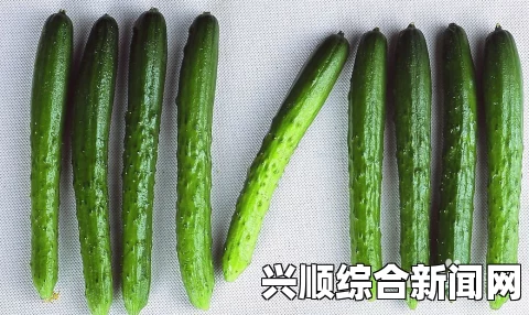 探索草莓、樱桃、丝瓜、秋葵、榴莲和黄瓜的美味与营养大全