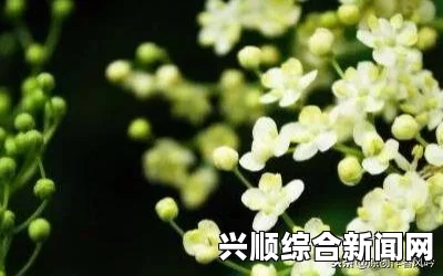 她从容上路，慢迎逍遥人生的每一个精彩瞬间