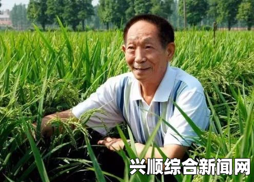 袁隆平团队杂交水稻助力东南亚粮食安全解决之道