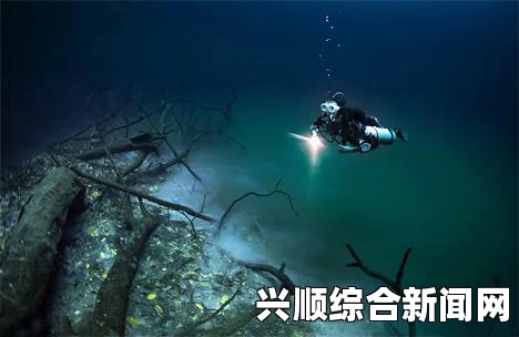 潮水仙踪林公司有限公司：探索自然与艺术交融的奇妙之旅