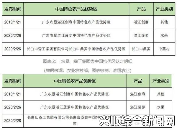 深入探讨99精产国品一二产区在线发展现状与未来趋势