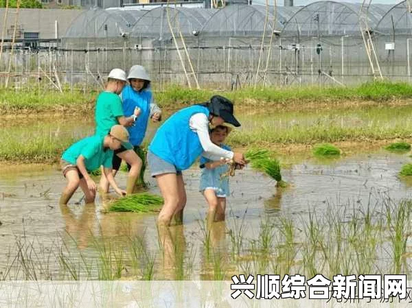 创意十足！情侣们的30种插秧法图片，让农田变身爱情乐园