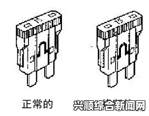 探索WOW保险丝的创新技术及其在现代电路中的应用