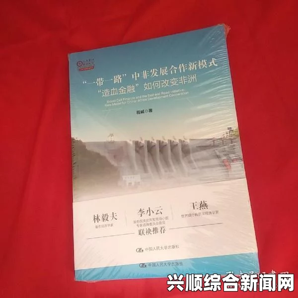 中非合作调研笔记，蒙内铁路的独特视角