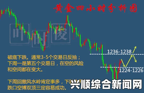 在探索XXXXXL1962222背后的奥秘与潜力：解读其影响力与应用前景