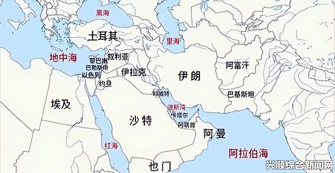 冰与火之歌奏响，美洲国家就委内瑞拉局势的站队现象