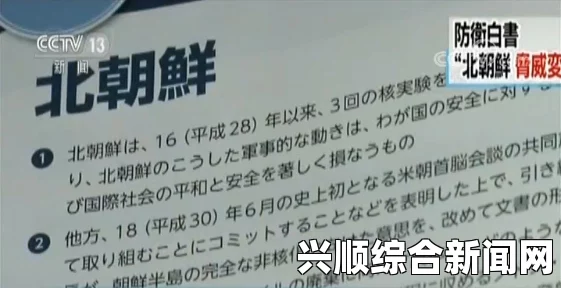 日新版防卫白皮书鼓吹中国威胁 安倍野心藏不住！