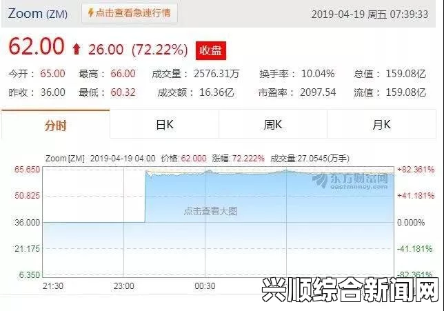 深入分析日本Zoom与国产Zoom的功能差异与用户体验对比