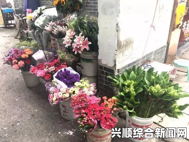 探索秘密通道：揭秘如何安全顺利地走出隐秘之境