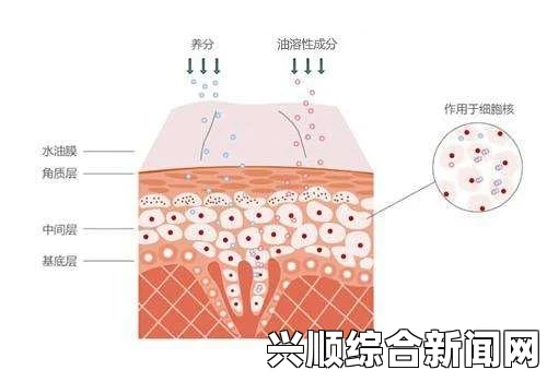 深入解析一区二区三区国产精华液的独特特点及其对肌肤的多重功效