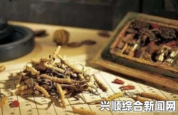 探索夜战十女不败草药的神秘功效与独特疗愈价值