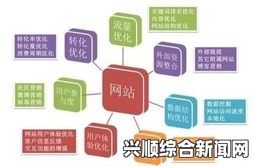 全面解析SEO短视频网页入口的有效网站推广策略与技巧