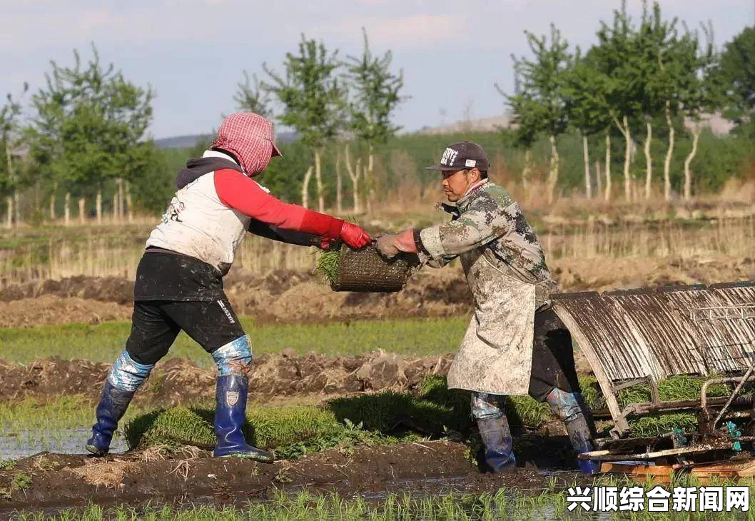 探索外国情侣插秧的方法与技巧：让传统农耕变得浪漫而有趣