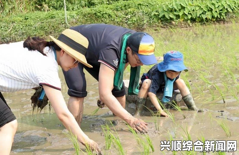 探索外国情侣插秧的方法与技巧：让传统农耕变得浪漫而有趣