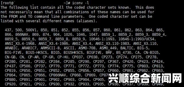 解决中文乱码问题的有效方法与技巧解析