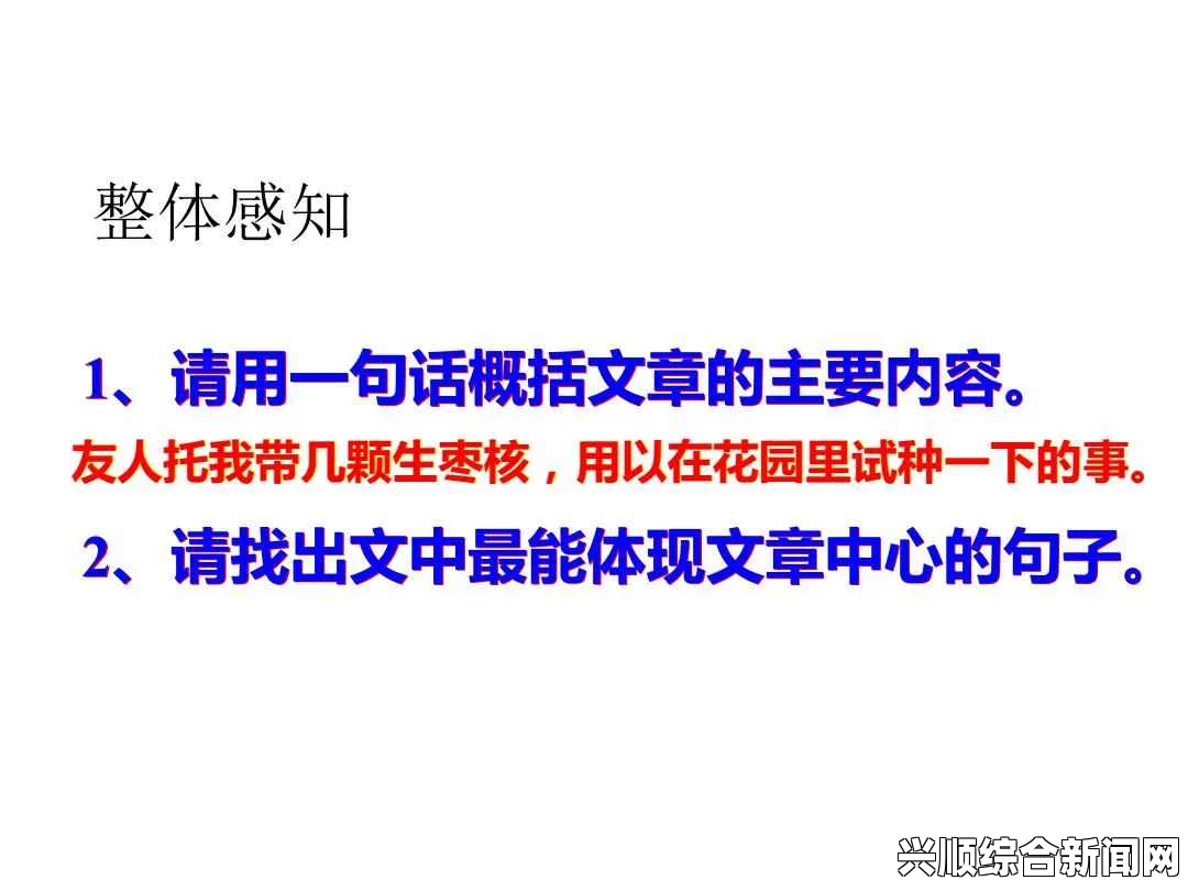 基于所提供内容的文章标题建议，深度解析，文章核心内容的全方位解读与探讨