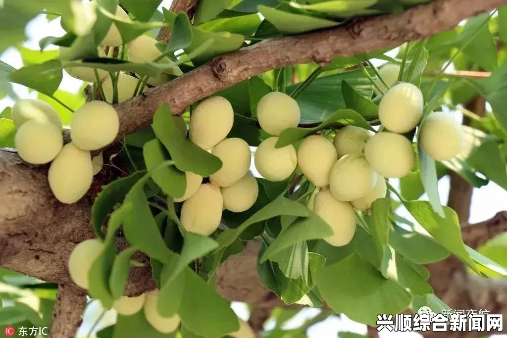 畅享丝瓜草莓秋葵茄子鸭脖的绝妙组合，尽情品味无删减的美味体验