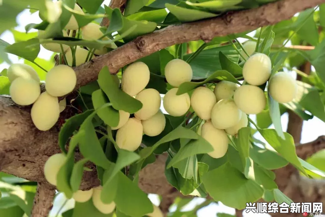 畅享丝瓜草莓秋葵茄子鸭脖的绝妙组合，尽情品味无删减的美味体验