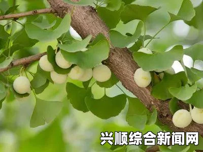 畅享丝瓜草莓秋葵茄子鸭脖的绝妙组合，尽情品味无删减的美味体验