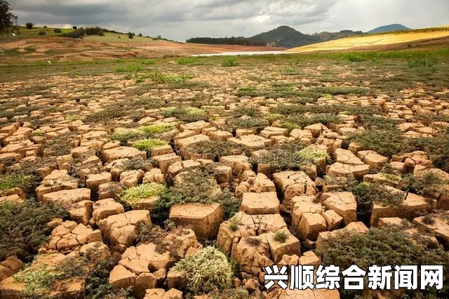 意大利首都罗马遭遇罕见的旱灾危机，民众用水犯愁，如何应对挑战？