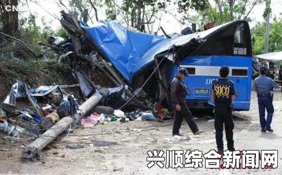 尼日利亚北部惨烈车祸致18人死亡，事故原因正在调查中标题