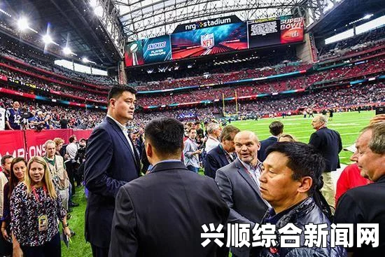 新赛季展望，NFL橄榄球伦敦赛与墨西哥城赛取消的背后原因与影响分析