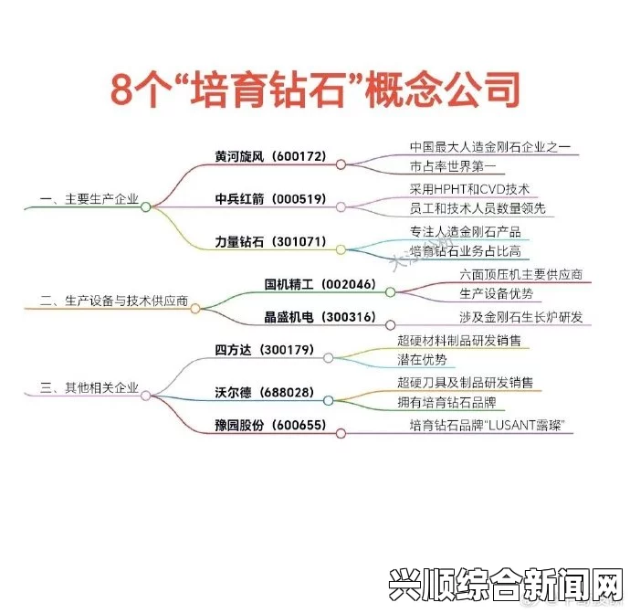 探索99国精产品与源码1688钻石背后的故事与价值所在