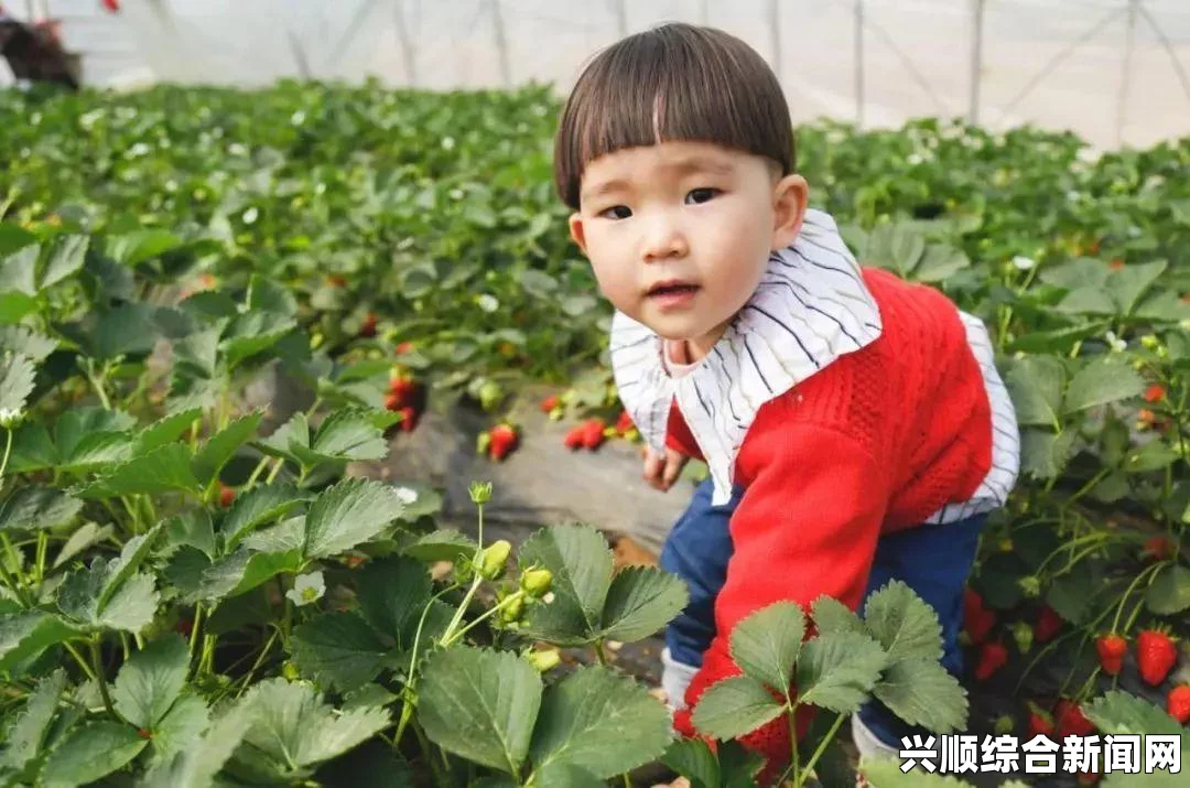 探索草莓在洞里制作新鲜草莓汁的创意过程与乐趣