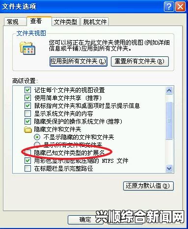 9.1破解版.apk文件提供免费资源，但要警惕潜在安全隐患：如何确保安全下载与使用