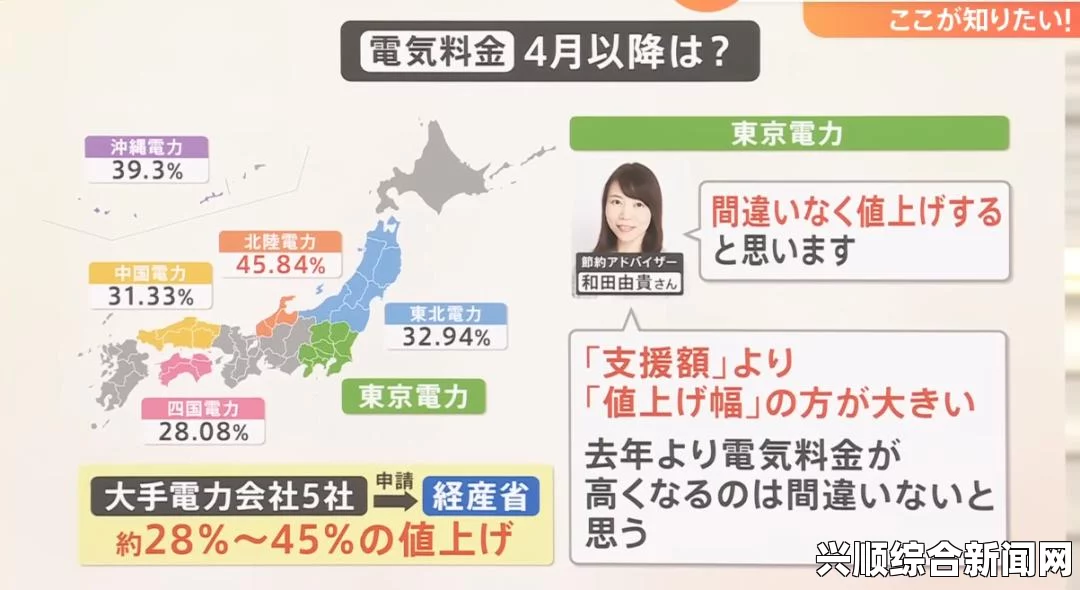 日本电费如何计算？全面解析日本电力收费标准和节省电费的有效方法