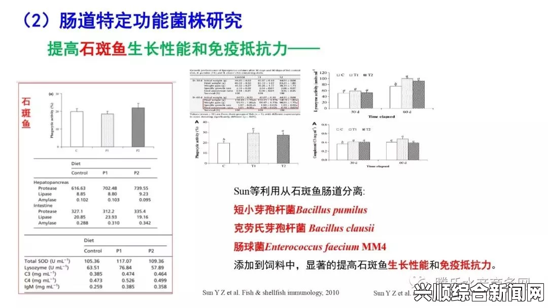 美国人与动物胶配方有几种：多种动物胶配方的应用与发展趋势