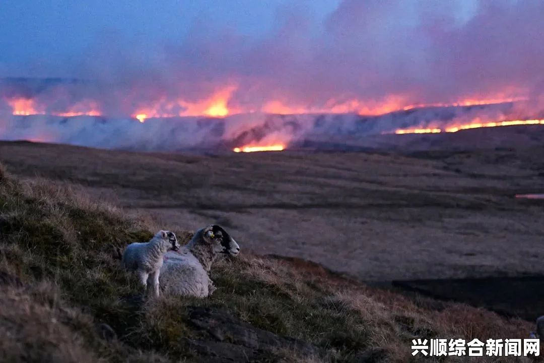 极端天气来袭，英国将面临前所未有的冬季降雨