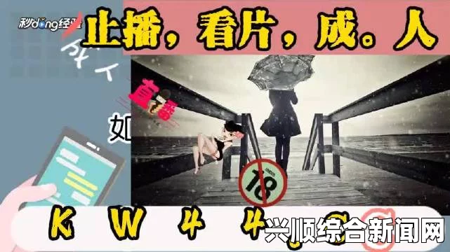 麻豆精品无人区码一二三区别是什么？不同区域对无人机工作模式的影响解析