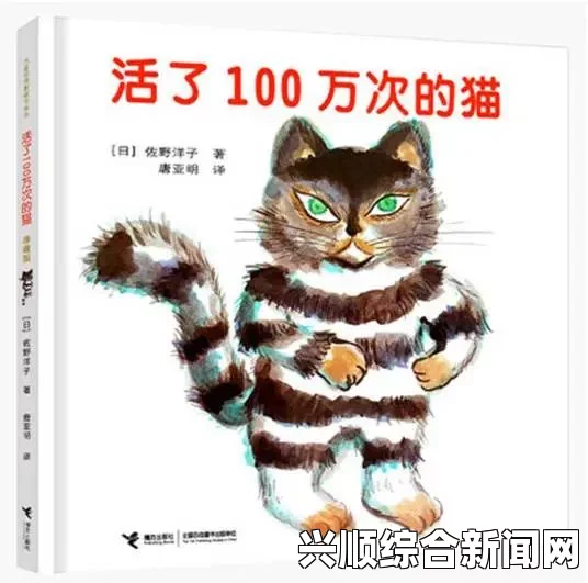 红猫大本营是什么？它能为你带来哪些意想不到的惊喜？