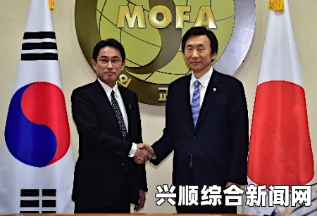 韩国政府决定维持韩日慰安妇协议援助项目，背景解析与问题解答