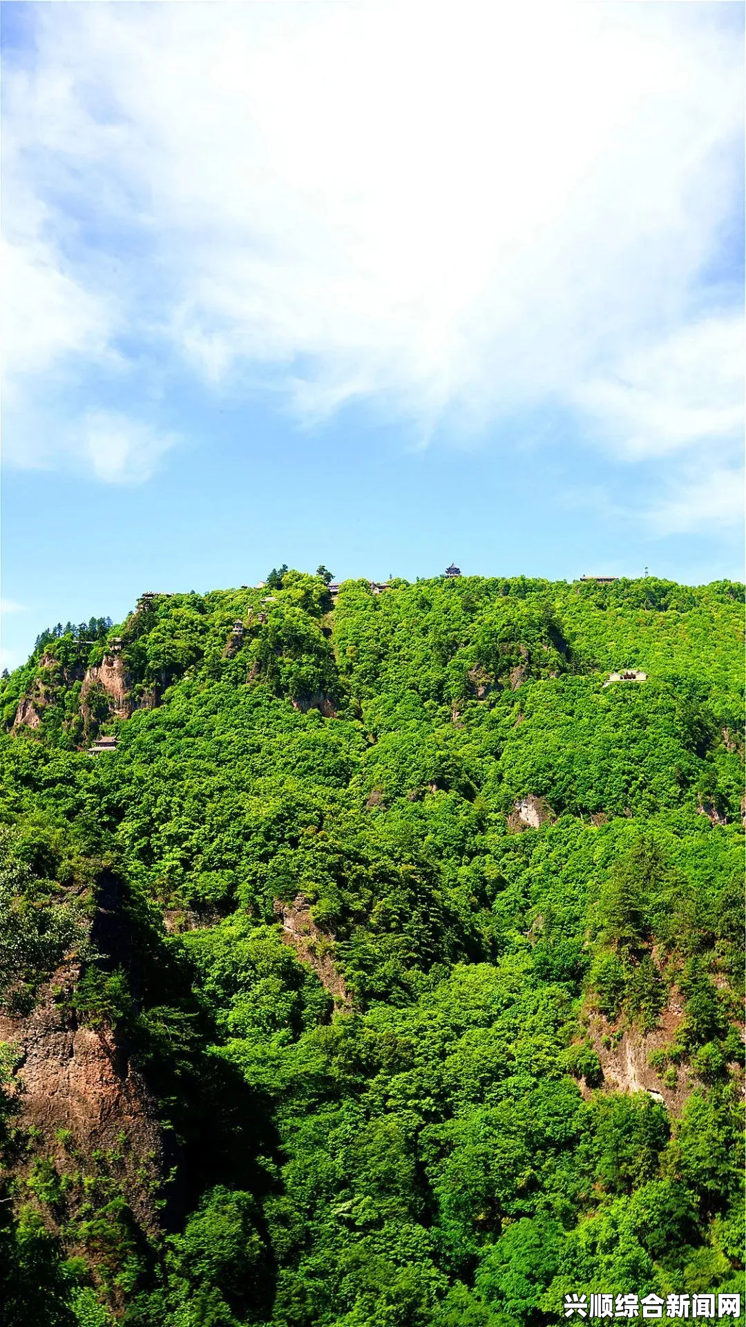 欧美无人区码AAAAA的应用与发展前景：为无人区管理带来新机遇