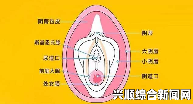 第一次经历处女膜破裂疼痛18分钟怎么办？怎样缓解痛苦和提高舒适度？