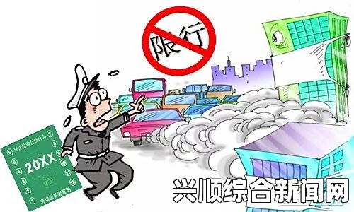 车辆颠簸后失控滑入险境，应急措施应该如何实施？