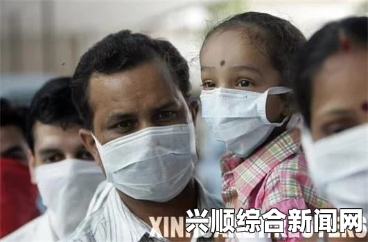 印度甲型H1N1流感疫情，挑战与应对