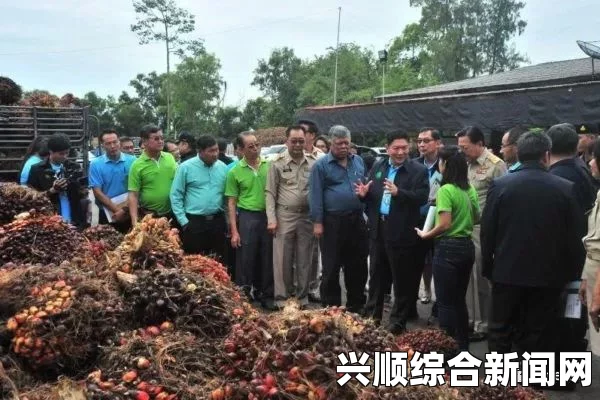 为大选做准备，马来西亚总理向棕榈油农场主派发红包