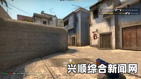 高清暴躁老阿姨CSGO图片，绝对满足玩家需求！