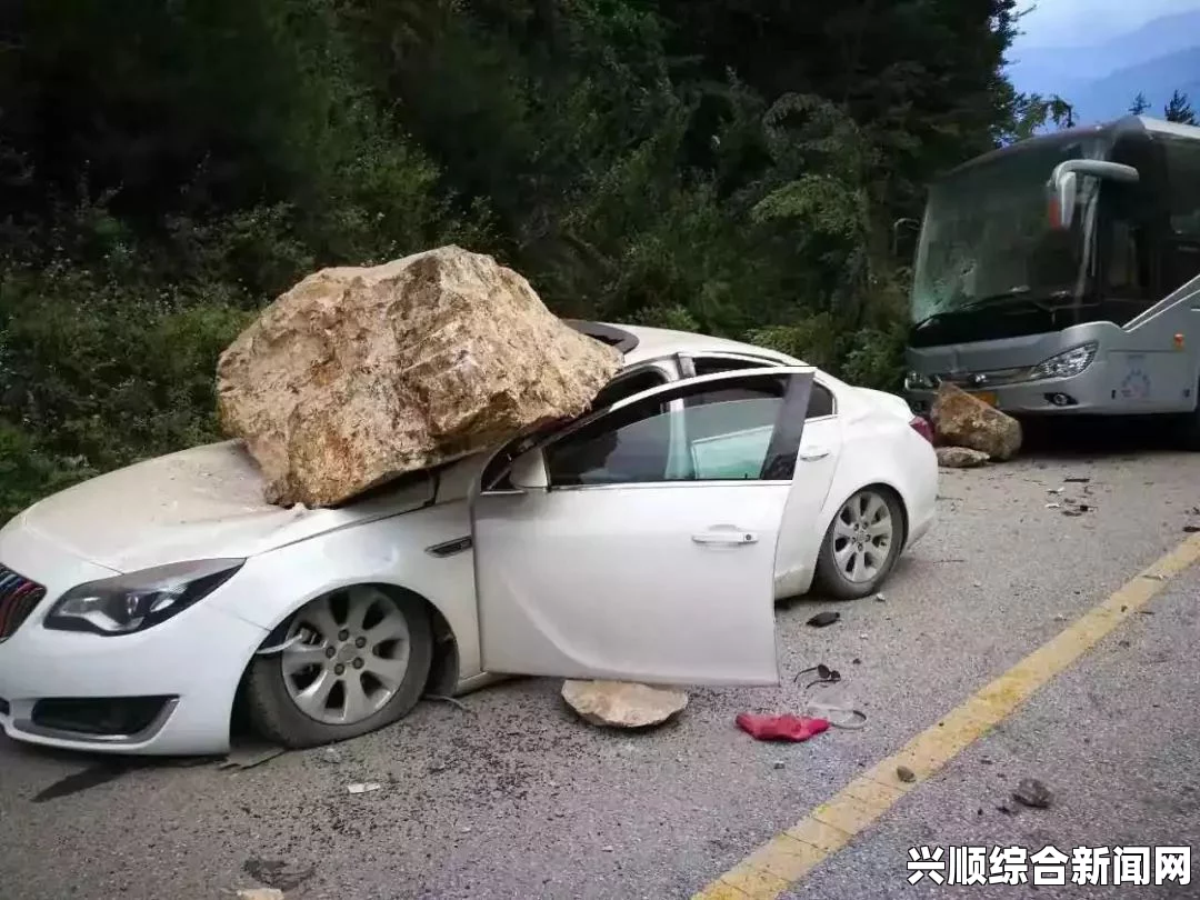 车主在观看“野外车里地震视频大全”时应该关注哪些重点