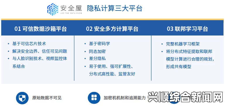 9I成人免费版的独特优势：如何满足用户的多样化需求并提供隐私保护？