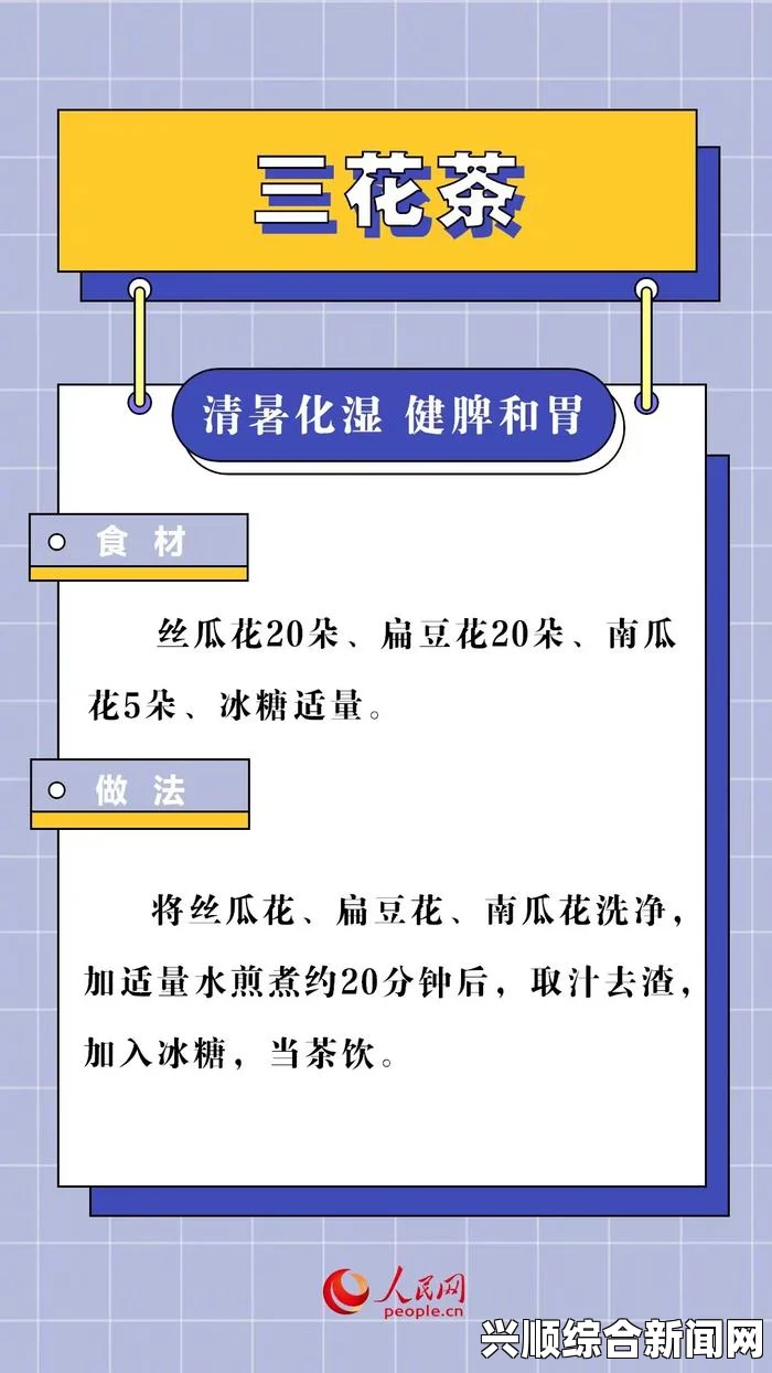 9I成人免费版的独特优势：如何满足用户的多样化需求并提供隐私保护？