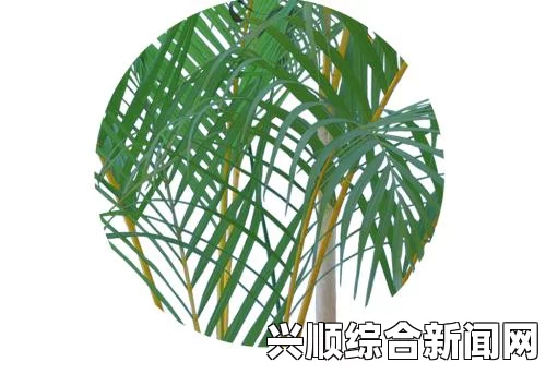 《含羞草》电视剧背后的深刻背景故事：如何揭示现代社会的情感与人性问题