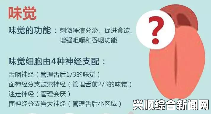 舌头如何影响我们吃小豆豆的体验？从味觉到健康，吃豆豆的乐趣揭秘