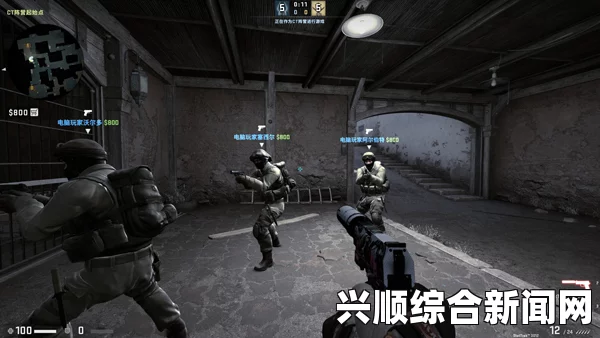 顶级CSGO大片2023：激烈竞技背后的荣耀与疑问