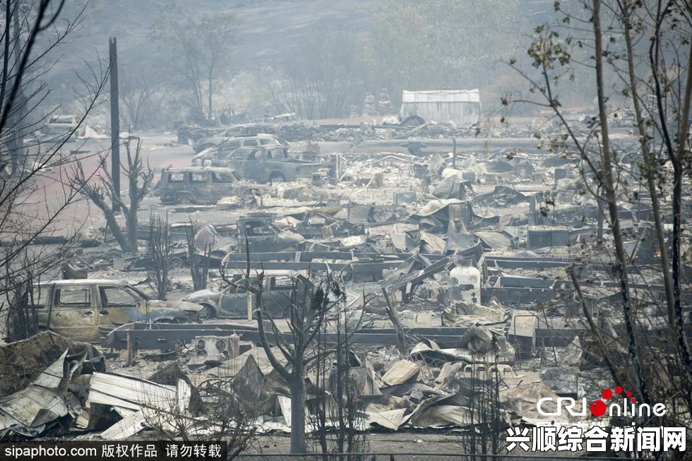 加拿大西部山林大火肆虐半月之久，背景、影响及应对措施与答疑