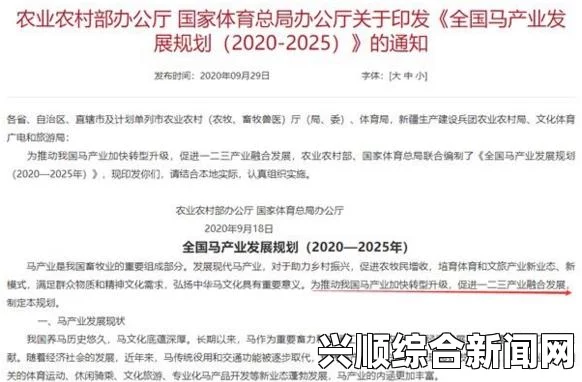 国产精产国品一二三产区的具体区别与经济发展潜力分析：助力企业战略制定