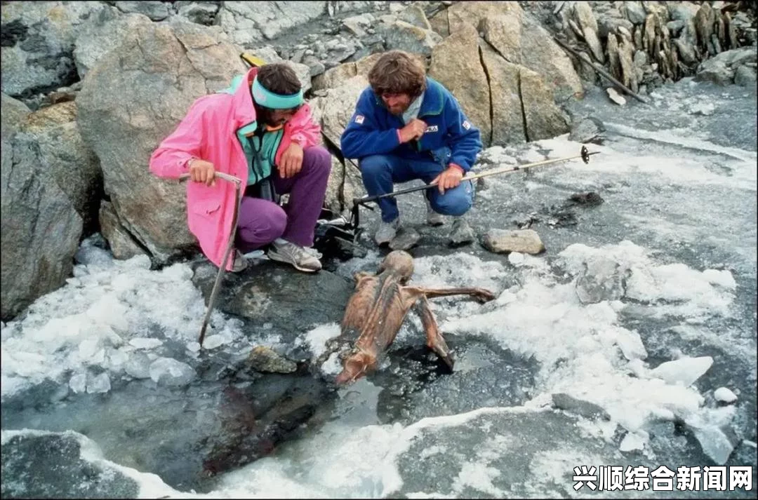 瑞士夫妇二战失踪之谜，阿尔卑斯冰川下的秘密传奇